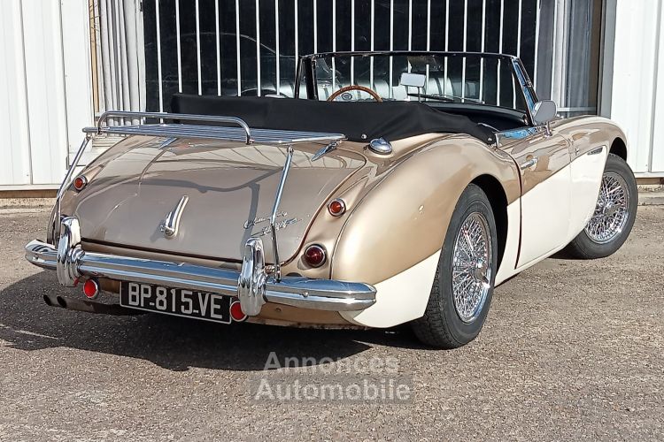 Austin Healey 3000 MK2 BJ7 - <small></small> 64.900 € <small>TTC</small> - #11