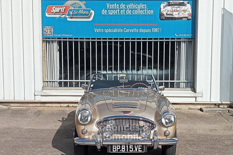 Austin Healey 3000 MK2 BJ7 - <small></small> 64.900 € <small>TTC</small> - #12