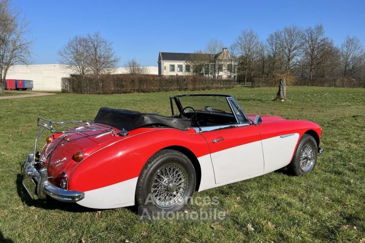 Austin Healey 3000 3000MKIII - Prix sur Demande - #2