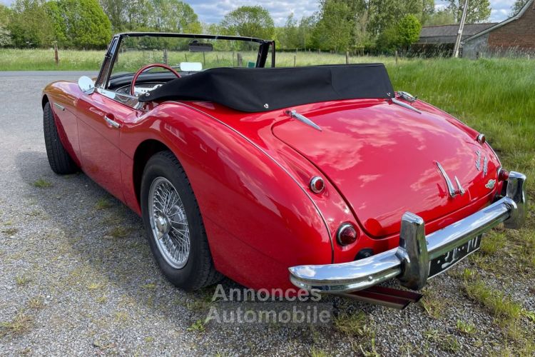 Austin Healey 3000 BJ7 6 CYLINDRES - <small></small> 54.900 € <small>TTC</small> - #2