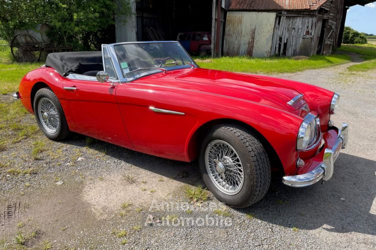 Austin Healey 3000 BJ7 6 CYLINDRES - <small></small> 54.900 € <small>TTC</small> - #4