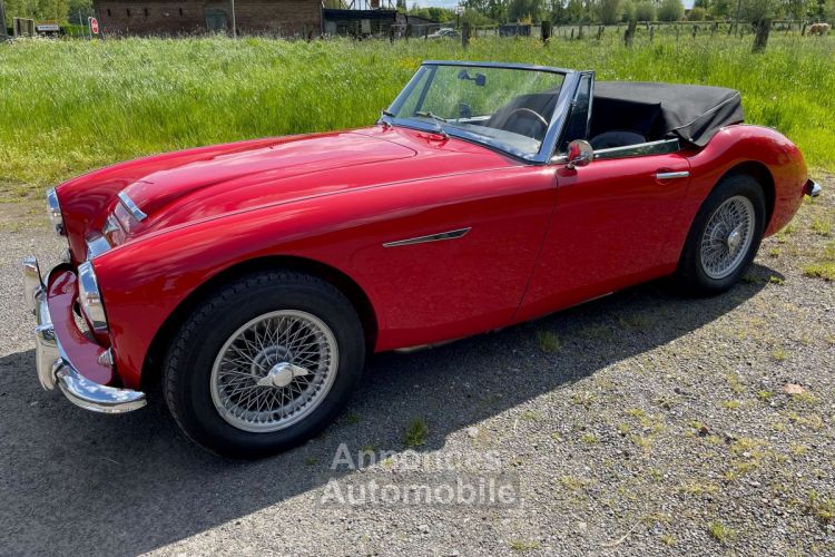 Austin Healey 3000 BJ7 6 CYLINDRES - <small></small> 54.900 € <small>TTC</small> - #5