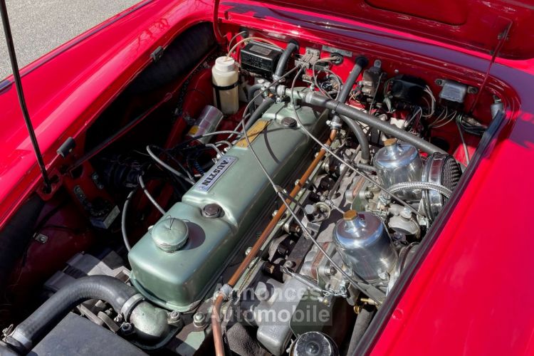 Austin Healey 3000 BJ8 6 cylindres - Prix sur Demande - #64
