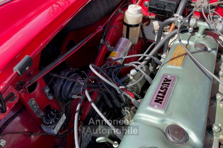 Austin Healey 3000 BJ8 6 cylindres - Prix sur Demande - #65