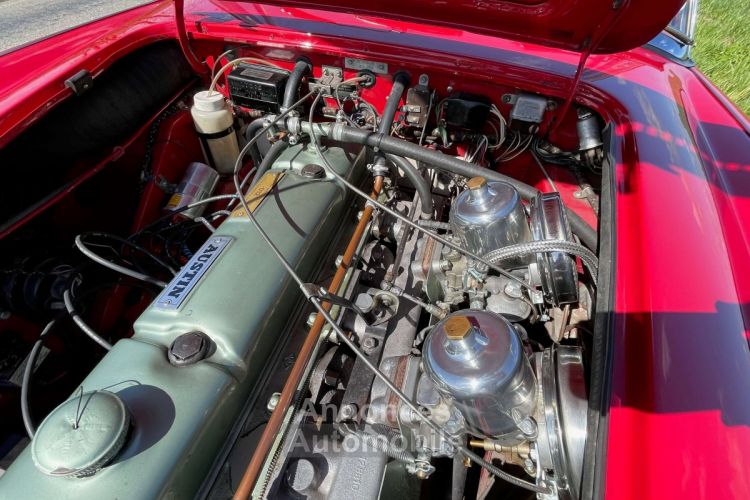 Austin Healey 3000 BJ8 6 cylindres - Prix sur Demande - #66