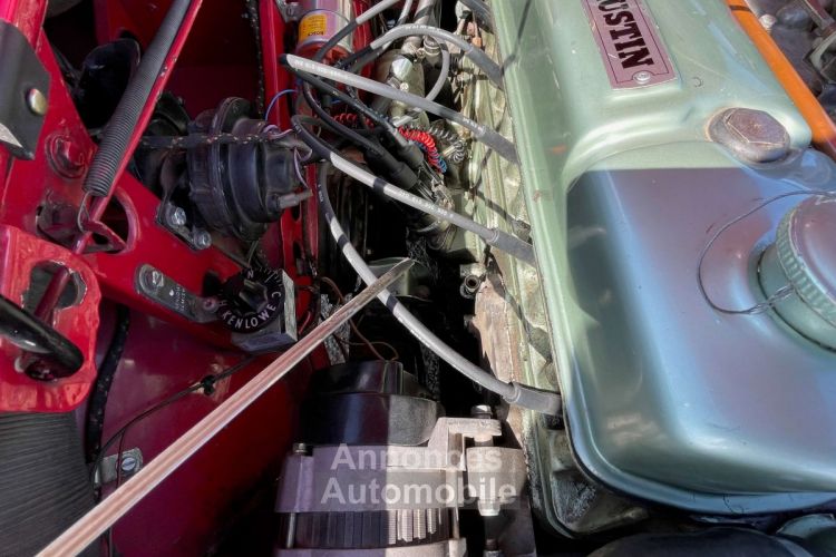 Austin Healey 3000 BJ8 6 cylindres - Prix sur Demande - #69