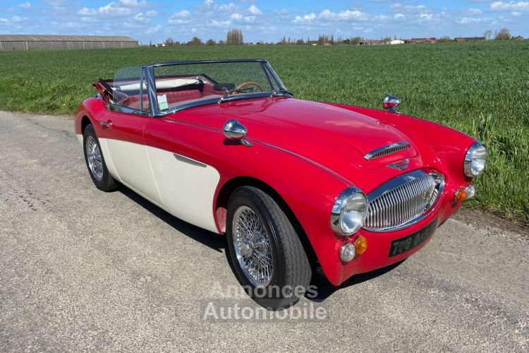 Austin Healey 3000 BJ8 MKII 6 cylindres - <small></small> 64.900 € <small>TTC</small> - #3