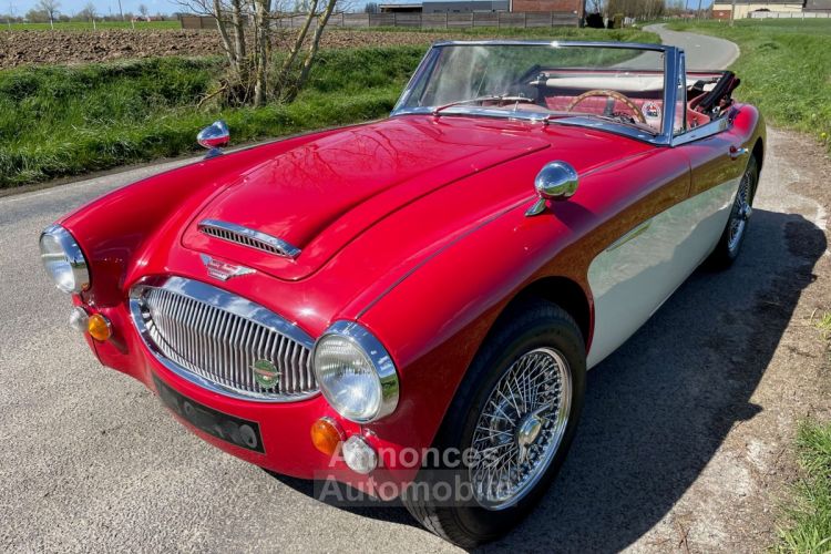 Austin Healey 3000 BJ8 MKII 6 cylindres - <small></small> 64.900 € <small>TTC</small> - #4