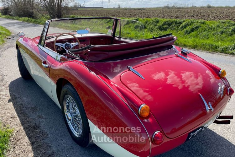 Austin Healey 3000 BJ8 MKII 6 cylindres - <small></small> 64.900 € <small>TTC</small> - #5