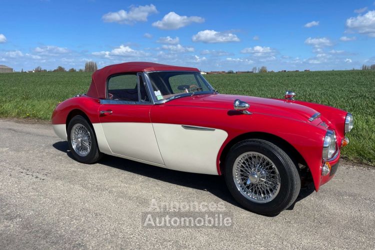 Austin Healey 3000 BJ8 MKII 6 cylindres - <small></small> 64.900 € <small>TTC</small> - #7