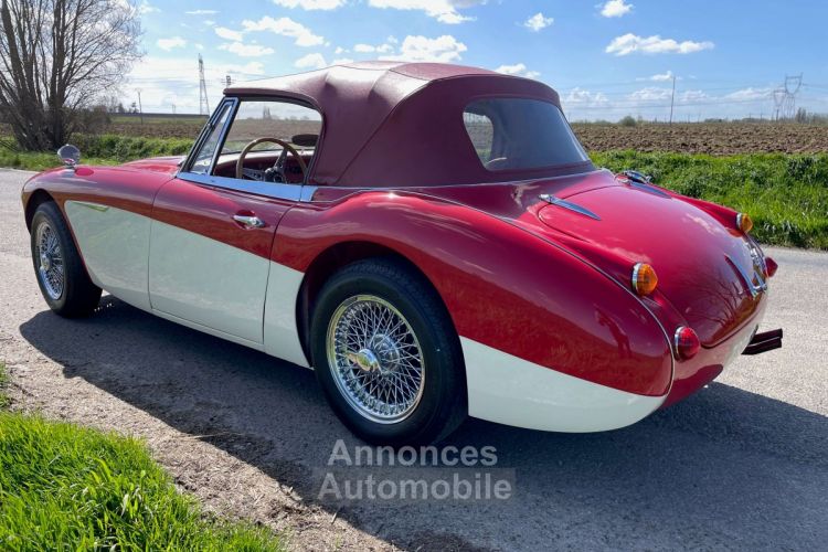 Austin Healey 3000 BJ8 MKII 6 cylindres - <small></small> 64.900 € <small>TTC</small> - #8