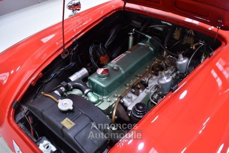 Austin Healey 3000 BT7 + Hard Top - <small></small> 69.900 € <small>TTC</small> - #43