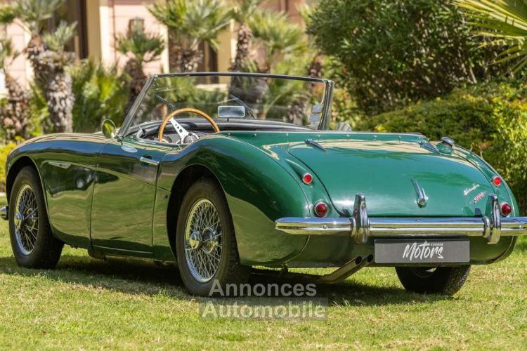 Austin Healey 3000 BT7 - <small></small> 57.990 € <small>TTC</small> - #3