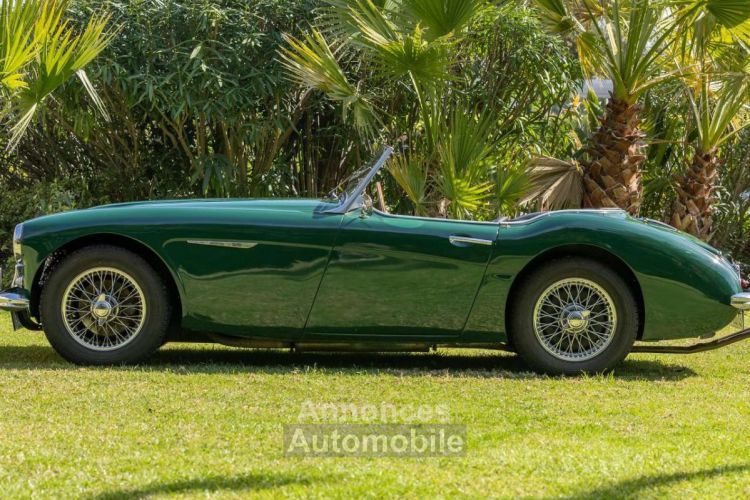 Austin Healey 3000 BT7 - <small></small> 57.990 € <small>TTC</small> - #6