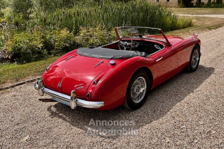 Austin Healey 3000 bt7 de 1961 - <small></small> 67.900 € <small>TTC</small> - #2