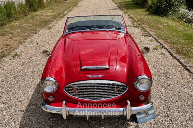 Austin Healey 3000 bt7 de 1961 - <small></small> 67.900 € <small>TTC</small> - #20