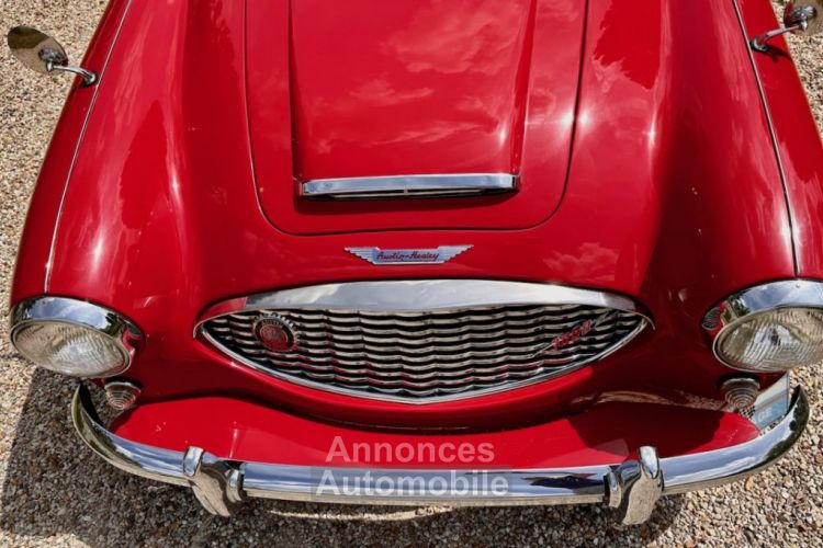 Austin Healey 3000 bt7 de 1961 - <small></small> 67.900 € <small>TTC</small> - #22