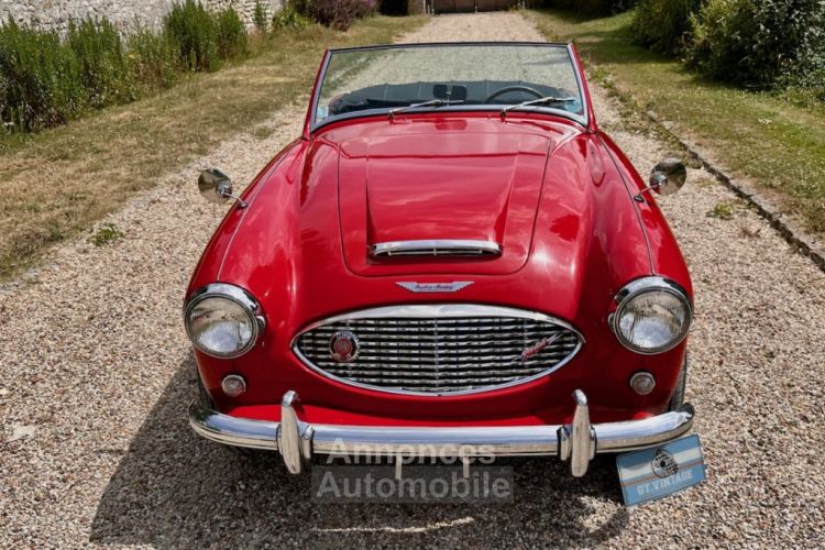 Austin Healey 3000 bt7 de 1961 - <small></small> 67.900 € <small>TTC</small> - #29