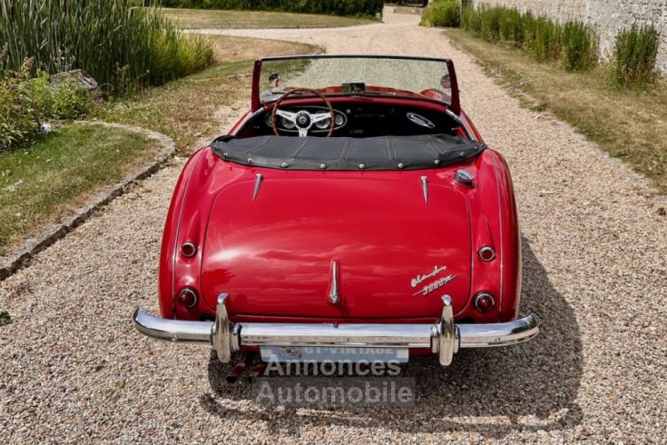 Austin Healey 3000 bt7 de 1961 - <small></small> 67.900 € <small>TTC</small> - #31