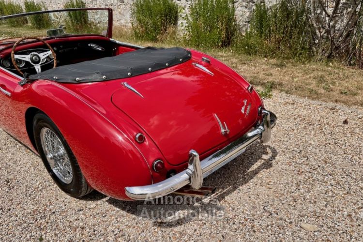 Austin Healey 3000 bt7 de 1961 - <small></small> 67.900 € <small>TTC</small> - #33
