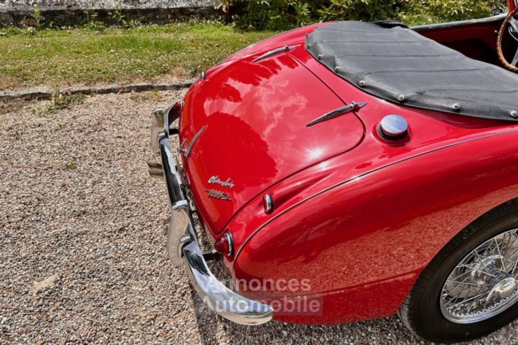 Austin Healey 3000 bt7 de 1961 - <small></small> 67.900 € <small>TTC</small> - #34