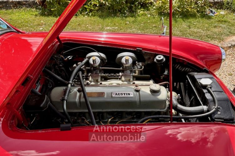 Austin Healey 3000 bt7 de 1961 - <small></small> 67.900 € <small>TTC</small> - #56