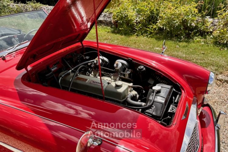 Austin Healey 3000 bt7 de 1961 - <small></small> 67.900 € <small>TTC</small> - #59