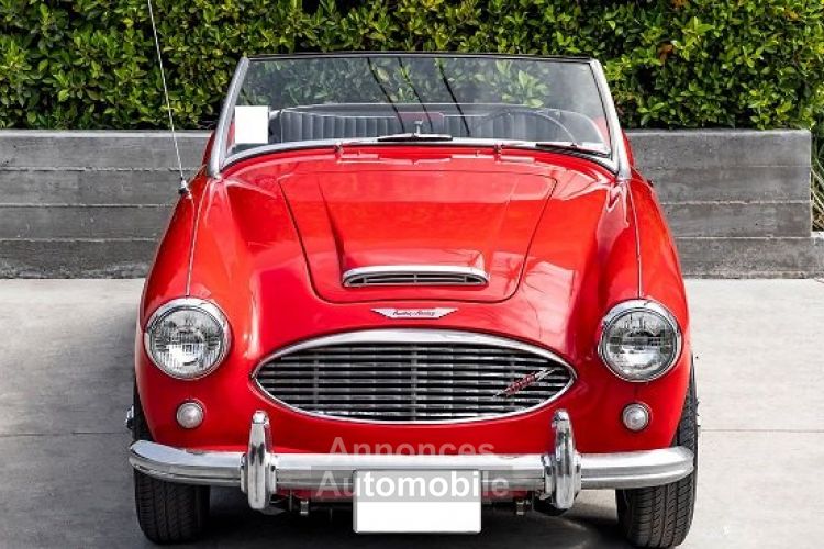 Austin Healey 3000 MK - <small></small> 34.900 € <small>TTC</small> - #2