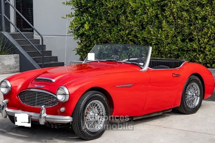 Austin Healey 3000 MK - <small></small> 34.900 € <small>TTC</small> - #5