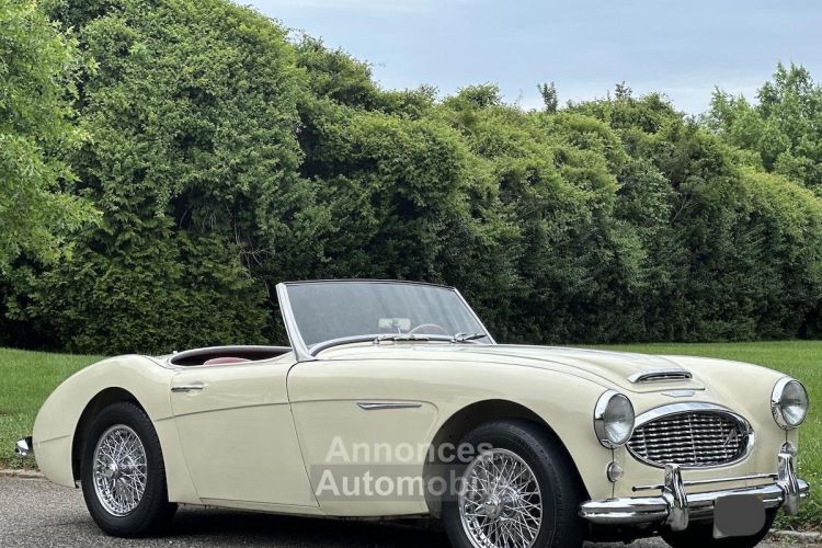 Austin Healey 3000 Mk I  - <small></small> 36.000 € <small>TTC</small> - #1