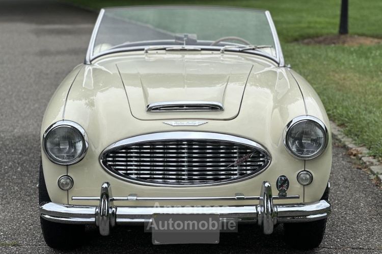 Austin Healey 3000 Mk I  - <small></small> 36.000 € <small>TTC</small> - #8