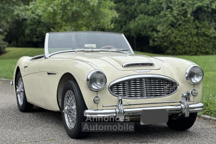 Austin Healey 3000 Mk I  - <small></small> 36.000 € <small>TTC</small> - #9