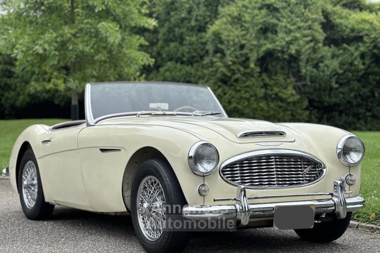 Austin Healey 3000 Mk I  - <small></small> 36.000 € <small>TTC</small> - #10