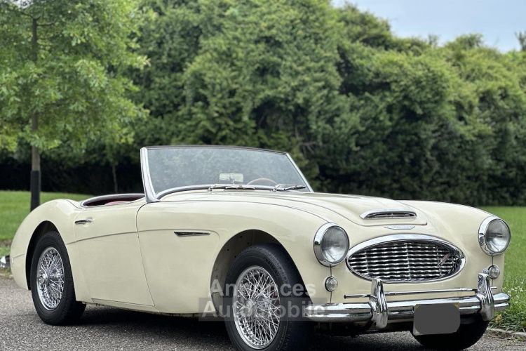 Austin Healey 3000 Mk I  - <small></small> 36.000 € <small>TTC</small> - #11