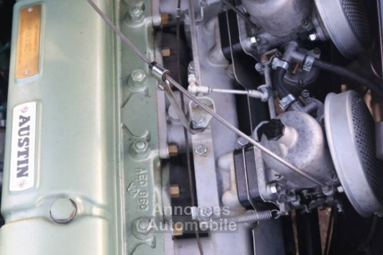 Austin Healey 3000 Mk II (BJ7) - <small></small> 75.000 € <small>TTC</small> - #33