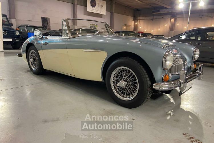 Austin Healey 3000 MK III - <small></small> 64.750 € <small>TTC</small> - #5