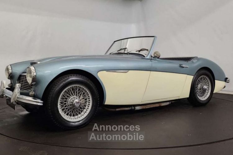 Austin Healey 3000 MK1 - <small></small> 56.500 € <small>TTC</small> - #7