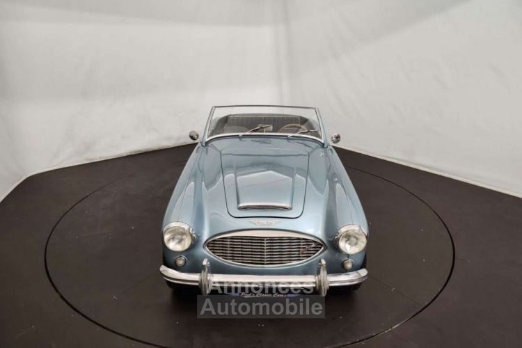 Austin Healey 3000 MK1 - <small></small> 56.500 € <small>TTC</small> - #12