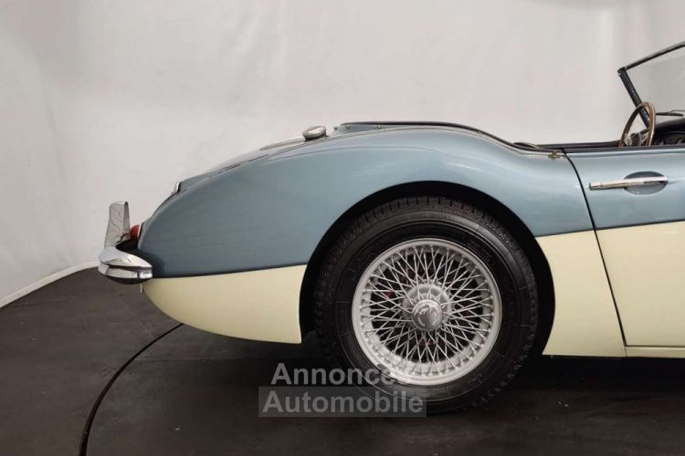 Austin Healey 3000 MK1 - <small></small> 56.500 € <small>TTC</small> - #15