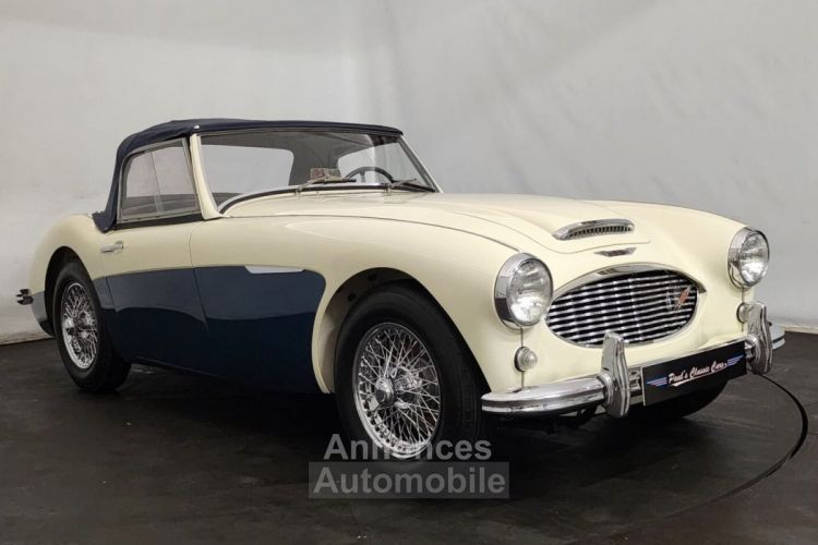 Austin Healey 3000 MK1 BN7 - <small></small> 80.000 € <small>TTC</small> - #13