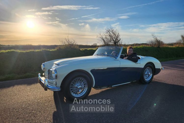 Austin Healey 3000 MK1 BN7 - <small></small> 80.000 € <small>TTC</small> - #72