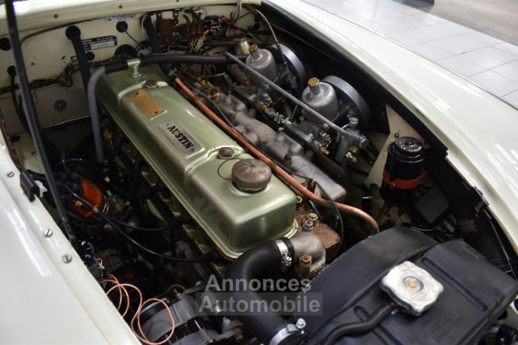 Austin Healey 3000 MK1 BT 7 - <small></small> 59.900 € <small>TTC</small> - #42