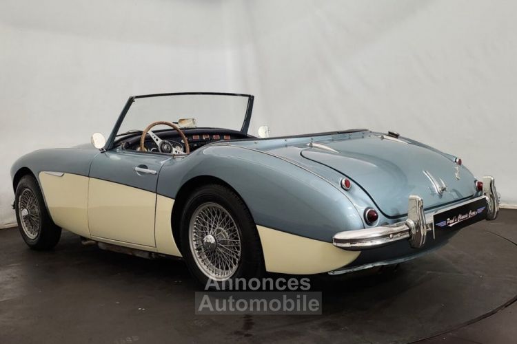 Austin Healey 3000 MK1 BT7 - <small></small> 56.500 € <small>TTC</small> - #3