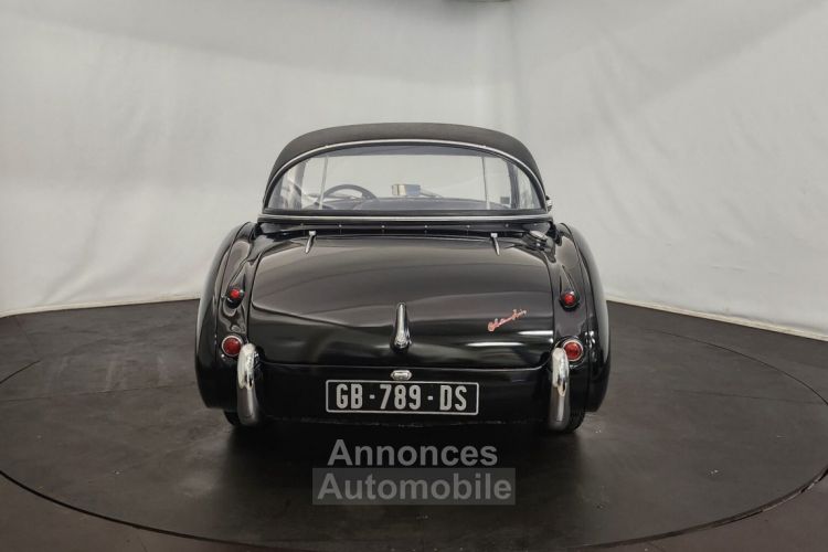 Austin Healey 3000 MK1 BT7 - <small></small> 68.500 € <small>TTC</small> - #13