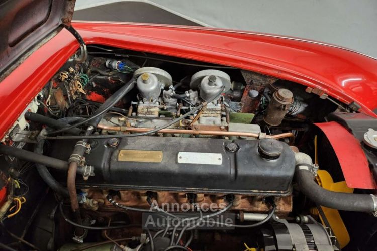 Austin Healey 3000 MK2 BJ7 - <small></small> 49.900 € <small>TTC</small> - #43