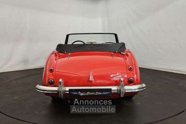 Austin Healey 3000 MK2 BJ7 - <small></small> 47.500 € <small>TTC</small> - #11