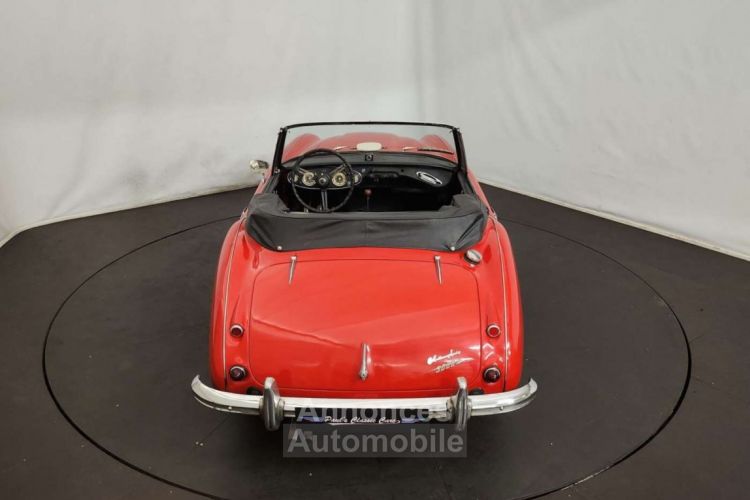 Austin Healey 3000 MK2 BJ7 - <small></small> 47.500 € <small>TTC</small> - #17