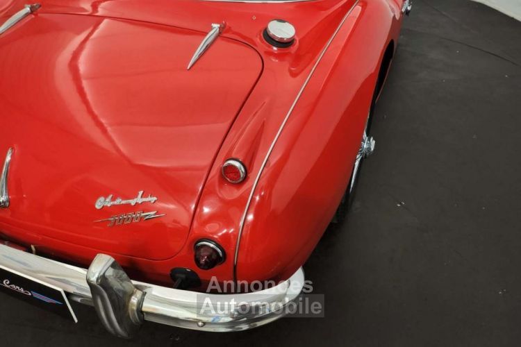 Austin Healey 3000 MK2 BJ7 - <small></small> 47.500 € <small>TTC</small> - #55