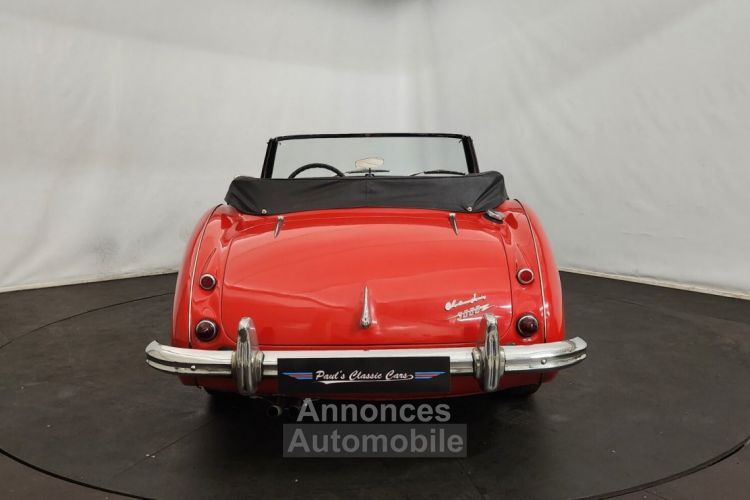 Austin Healey 3000 MK2 BJ7 - <small></small> 47.500 € <small>TTC</small> - #13