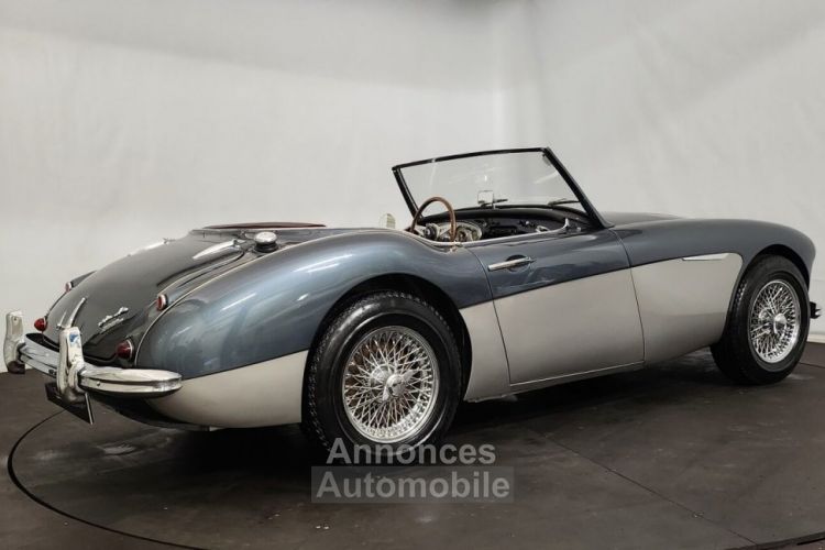 Austin Healey 3000 MK2 BT7 - <small></small> 70.000 € <small>TTC</small> - #4